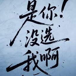 是你沒選我啊(撕裂版)鈴聲