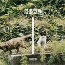 煎茶