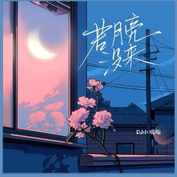 若是月亮还没来DJ铃声