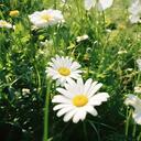 springthing春雨你