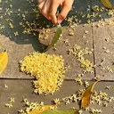 只适合遇见