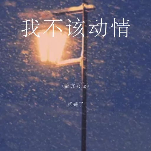 贰婶子 - 我不该动情 (高亢女版)铃声