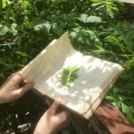 老天罚我下凡间铃声