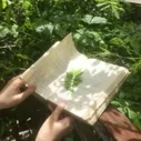 老天罚我下凡间