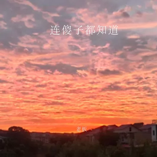 老板 - 连傻子都知道铃声