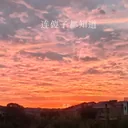 连傻子都知道